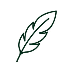 Obraz premium Green feather icon in minimalist design on a white background 