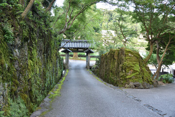 興聖寺　石門へと続く下りの琴坂(京都府宇治市)　