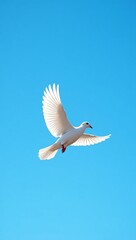 white dove in flight