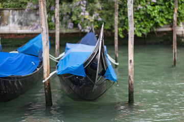 Quiet morning in Venice with gondolas waiting on the serene canal waters