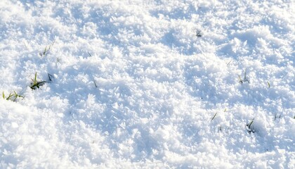 Snow-covered ground with patches of green grass