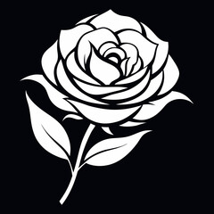 rose vector illustration
