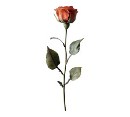 A single red rose with green leaves