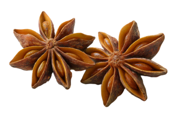 Two star anise spice pods with visible seeds isolated on transparent background