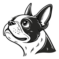 Obraz premium Boston Terrier Dog Vector SVG – Cute and Funny Flat Cartoon Pet Illustration for Dog Lovers and Animal Design Projects