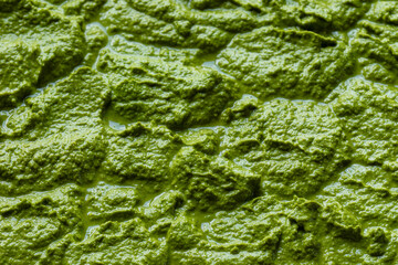 Freshly made pesto-like arugula dip made of arugula leaves, walnuts, parmesan, garlic, and olive oil. Background pattern.