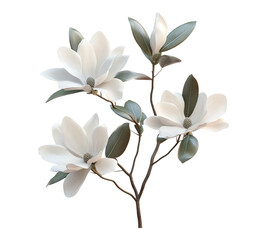 Obraz premium A white flower with green leaves is the main focus of the image