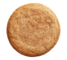 A cookie with a brownish color and a sprinkle of cinnamon on top