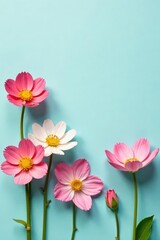 Naklejka premium Delicate forget-me-nots arranged on a sympathy card background , design element, background image, remembrance card