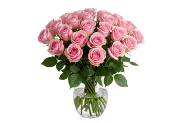 A large bouquet of pink roses in a glass vase isolated on white isolated on transparent background