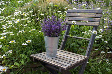 Beautiful fresh lavender flowers in a vase on chair