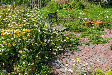 herb spiral in the garden with fresh herbs and flowers