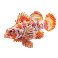 Vibrant Fish: A vivid underwater image of a unique, orange and white patterned fish, its fins spread in a display of aquatic beauty, showcasing its form and the wonders of marine life.