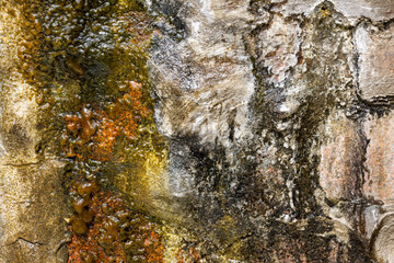 Textured stone wall covered in colorful wet algae