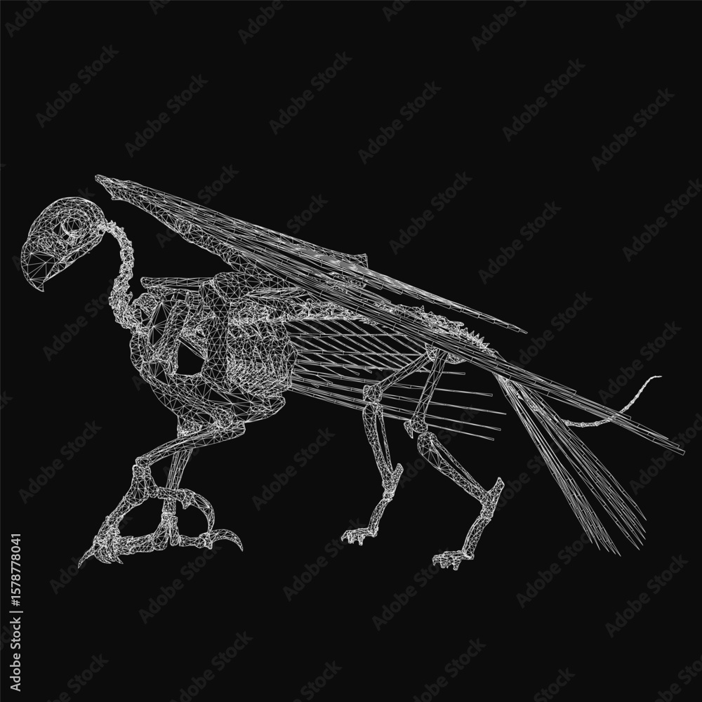 Poster a wireframe phoenix bird with a long beak and spread wings stands against a black background. the sk