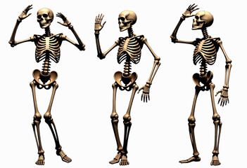 Skeleton waving in three different poses on white background  