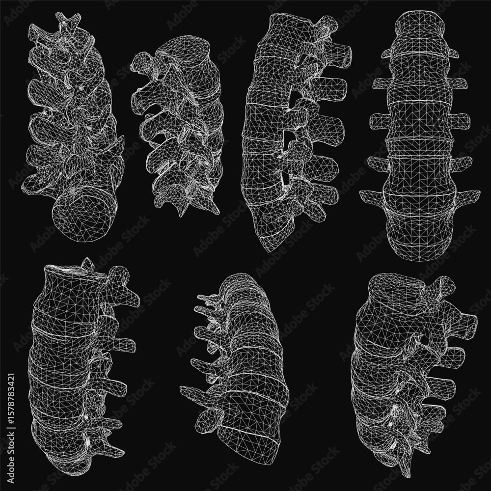 Poster 3d models of cervical vertebrae arranged symmetrically on a black background, each with distinct sha