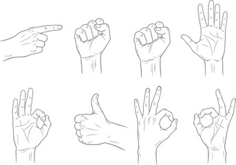 Fototapeta premium Collection of eight diverse hand gestures in a simple line art style