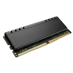 Computer memory module with gold contacts isolated on transparent background