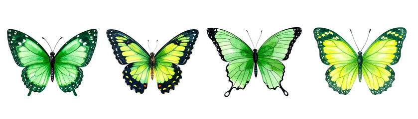 Set of Green Watercolor Butterflies Isolated on Transparent background