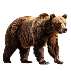 Fototapeta premium 3D bear icon isolated on transparent background. PNG