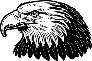 Fototapeta premium A detailed illustration of an eagles head isolated on white background