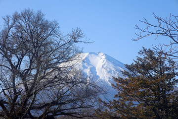 Visiting Oshino Hakkai provides a serene and immersive natural experience, where you can soak in...