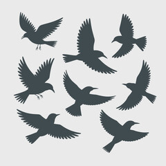 Obraz premium Collection of dark silhouettes of birds in flight isolated on white background