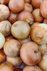 onions in the market