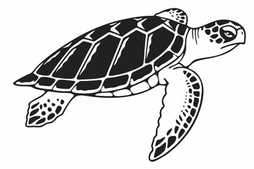 Black and white sea turtle illustration isolated on white background