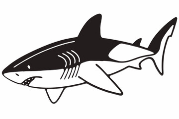 Fototapeta premium Hand drawn shark illustration isolated on white background