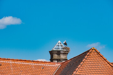 View of a stork's nest on a roof chimney in Dinkelsbühl, Middle Franconia