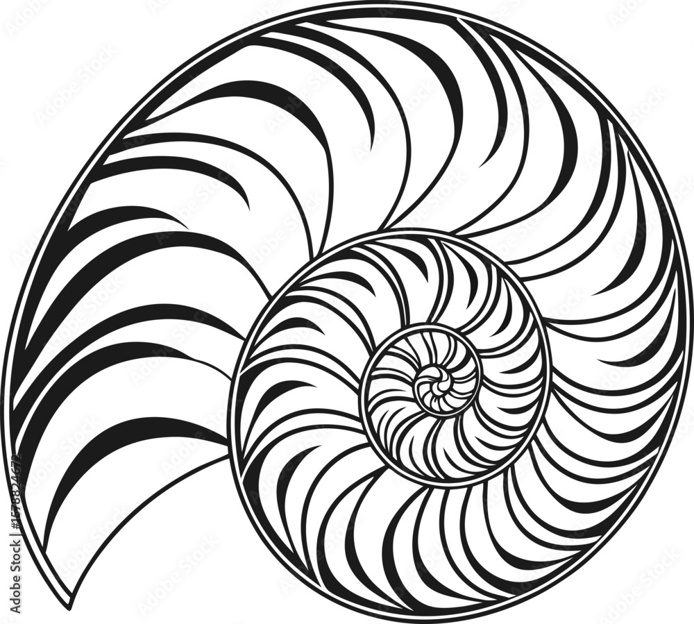Poster here's a concise description: abstract black and white spiral swirl with a natural fractal pattern r