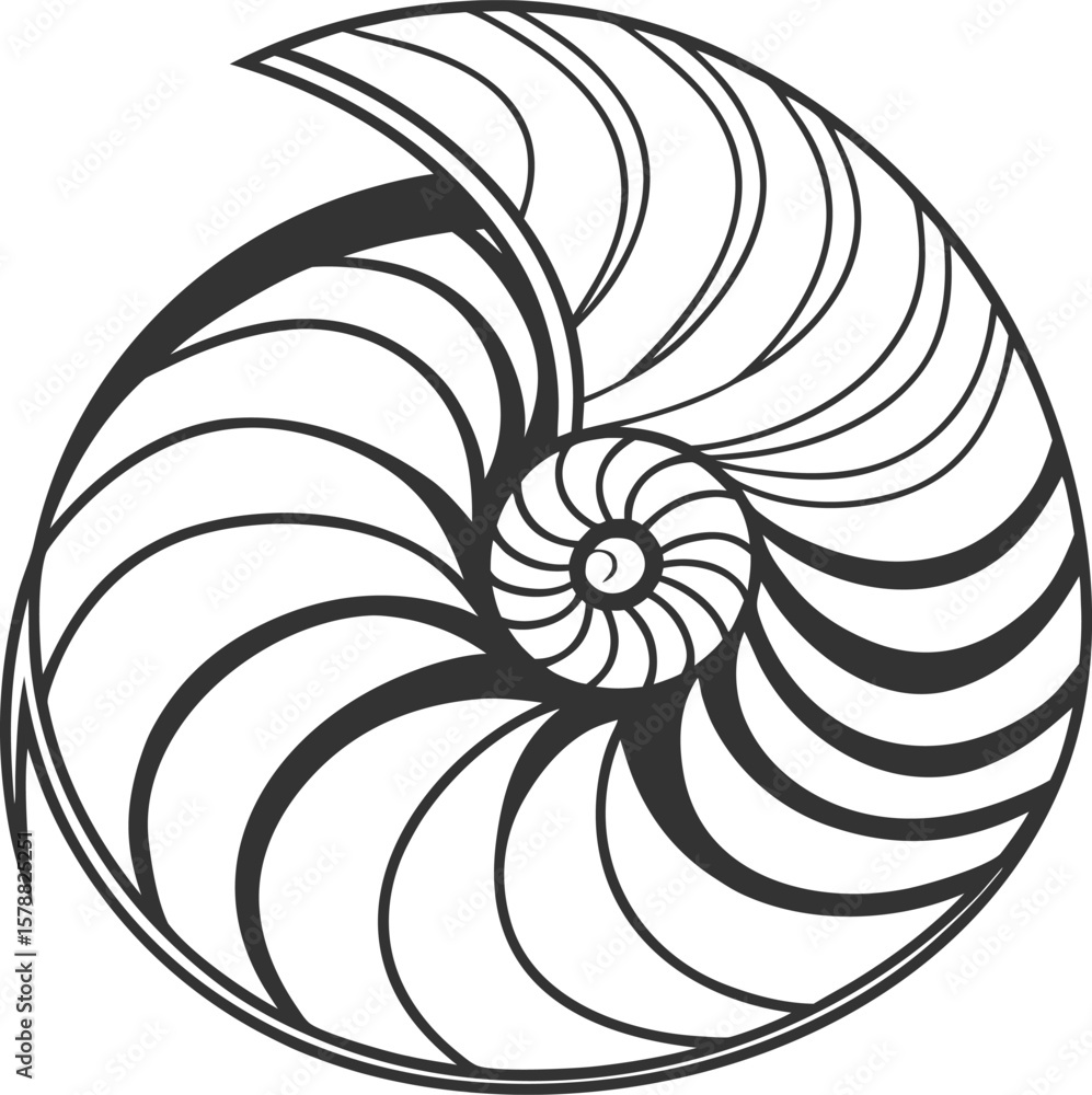Poster abstract spiral vector illustration with a nautilus shell fractal design, featuring a light blue swi