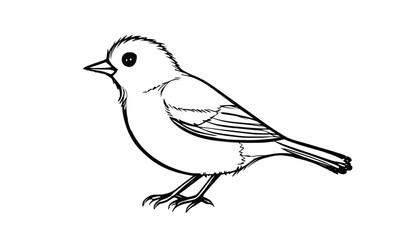 Small Bird Line Drawing – Minimal Black and White Sketch Style Animal Vector