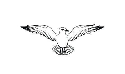 Fototapeta premium Minimal One-Line Seagull Vector – Elegant Coastal Bird in Flight