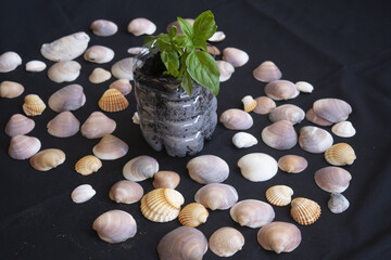 Sustainable Serenity: Green Reimagined