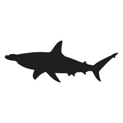 Obraz premium A black silhouette of a hammerhead shark swims, isolated on white background