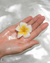 Tropical Spa Concept with Frangipani Flower Floating in Woman s Hand
