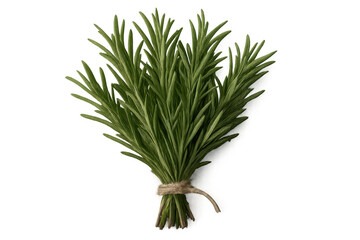 Fototapeta premium Sprigs of fresh rosemary, tied together with twine, isolated on a transparent background, ready for culinary or aromatic use