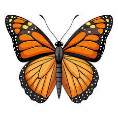 butterfly isolated on white