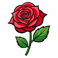 red rose vector illustration