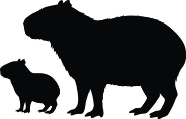 Capybara and guinea pig silhouette, isolated rodent animals, wildlife mammal comparison, vector illustration on white background, animal contrast art