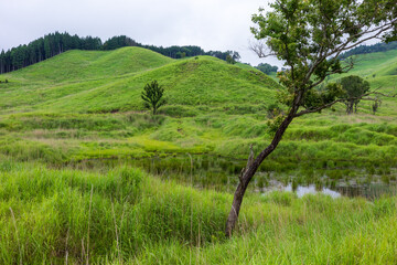 日本の兵庫県神河町の砥峰高原の美しい夏の風景
