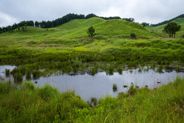 日本の兵庫県神河町の砥峰高原の美しい夏の風景