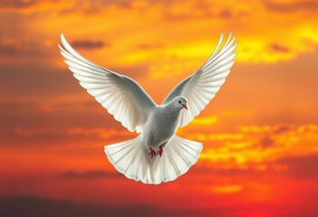 Fototapeta premium White dove in flight against vibrant sunset sky, yellow, colorful