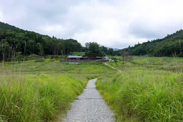 日本の兵庫県神河町の砥峰高原の美しい夏の風景