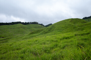 日本の兵庫県神河町の砥峰高原の美しい夏の風景