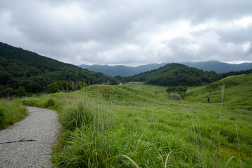 日本の兵庫県神河町の砥峰高原の美しい夏の風景