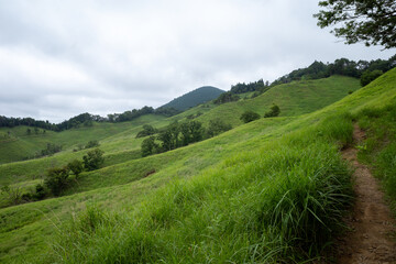 日本の兵庫県神河町の砥峰高原の美しい夏の風景
